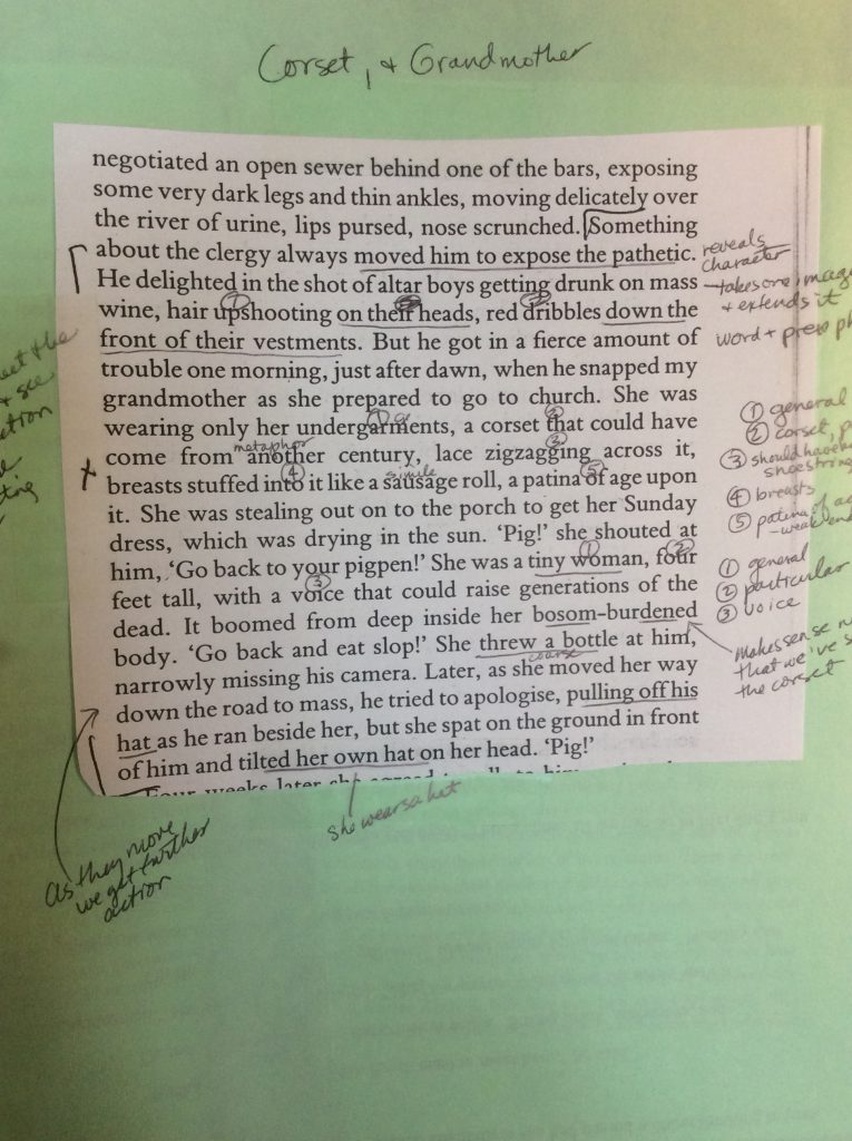 descriptive sentences of Colum McCann